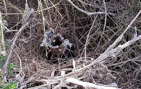   إطلاق 25 قذيفة من غزة على غلاف غزة